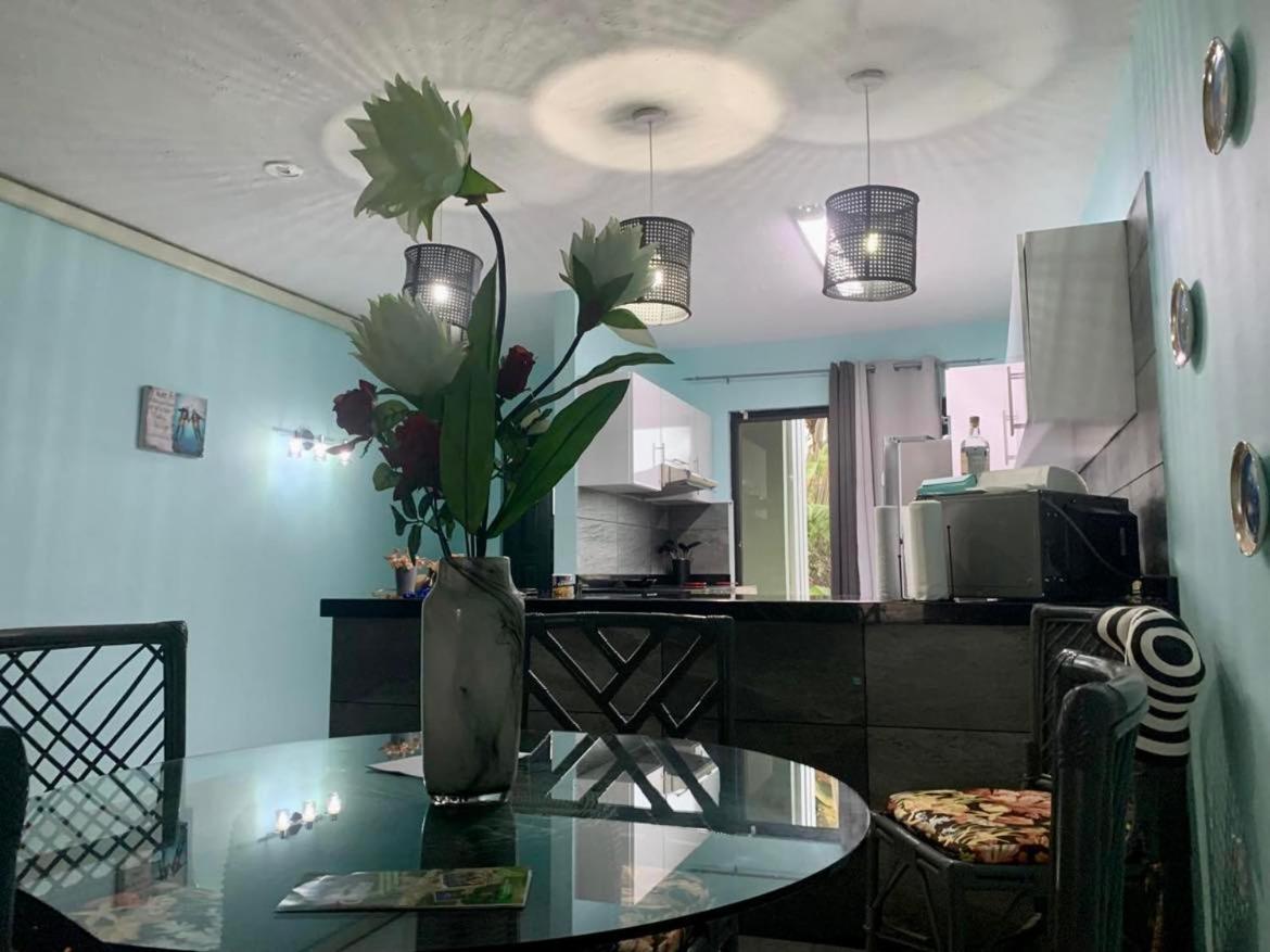Sand Dollar Apartment B11 Serenity By The Sea Kralendijk  Ngoại thất bức ảnh